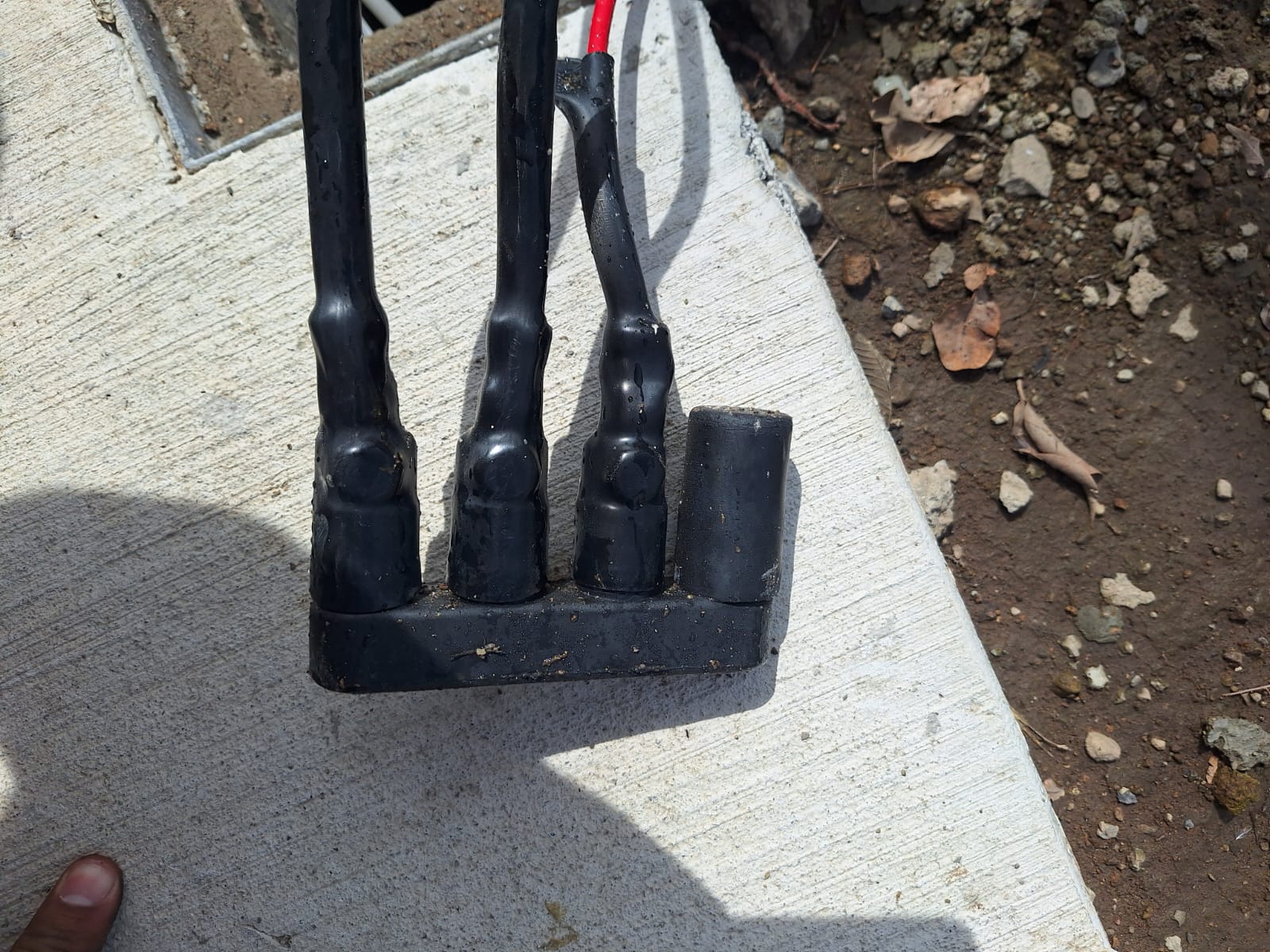 Imagen del proyecto