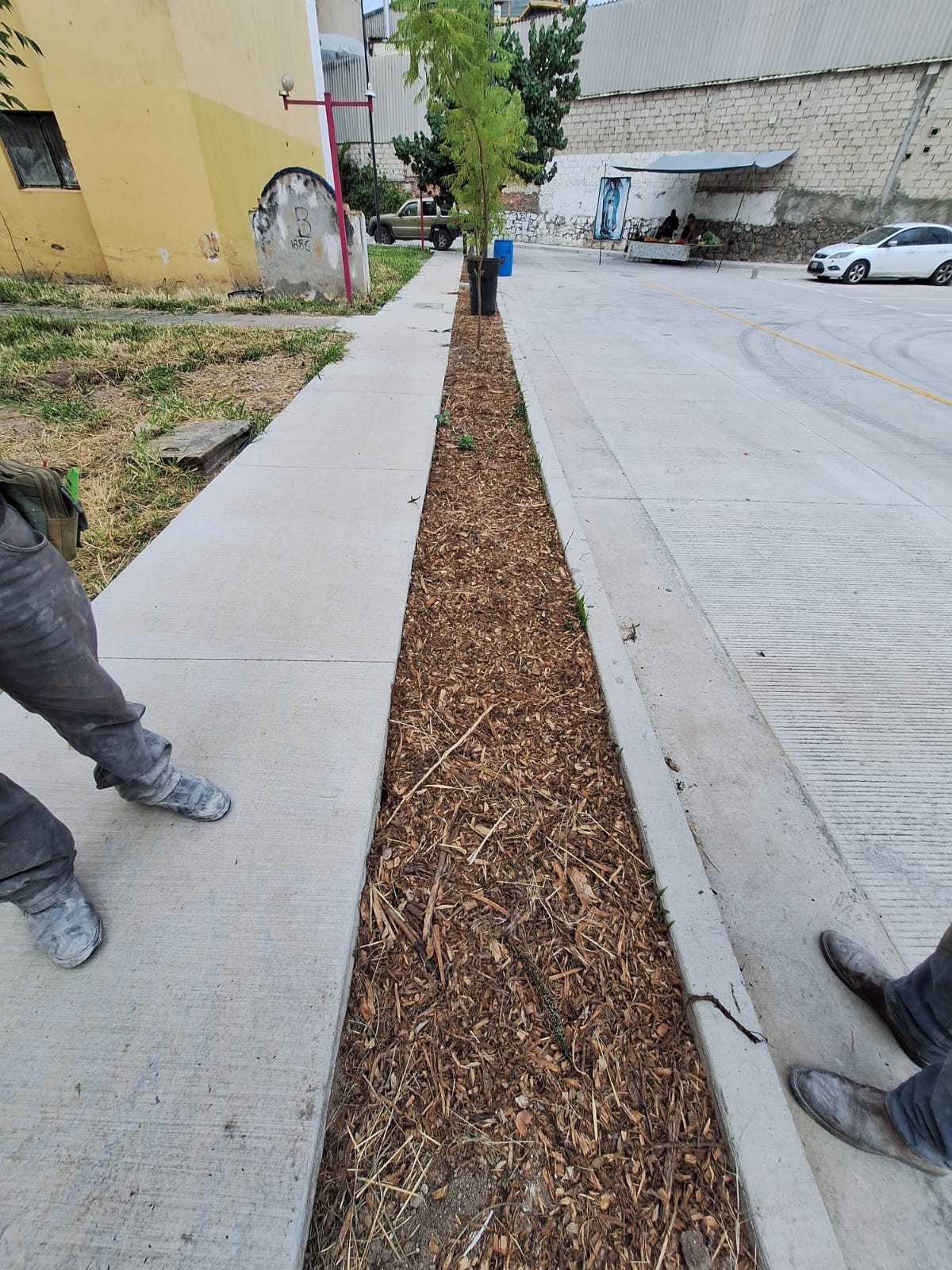 Imagen del proyecto
