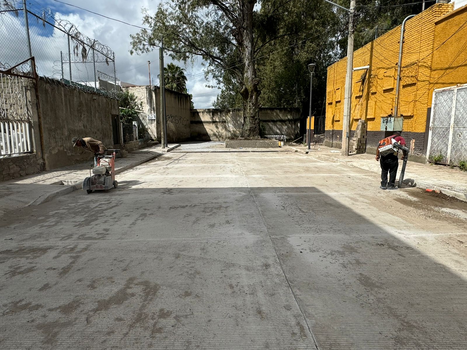 Imagen del Proyecto