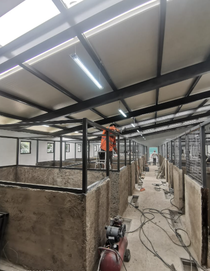 Imagen del proyecto