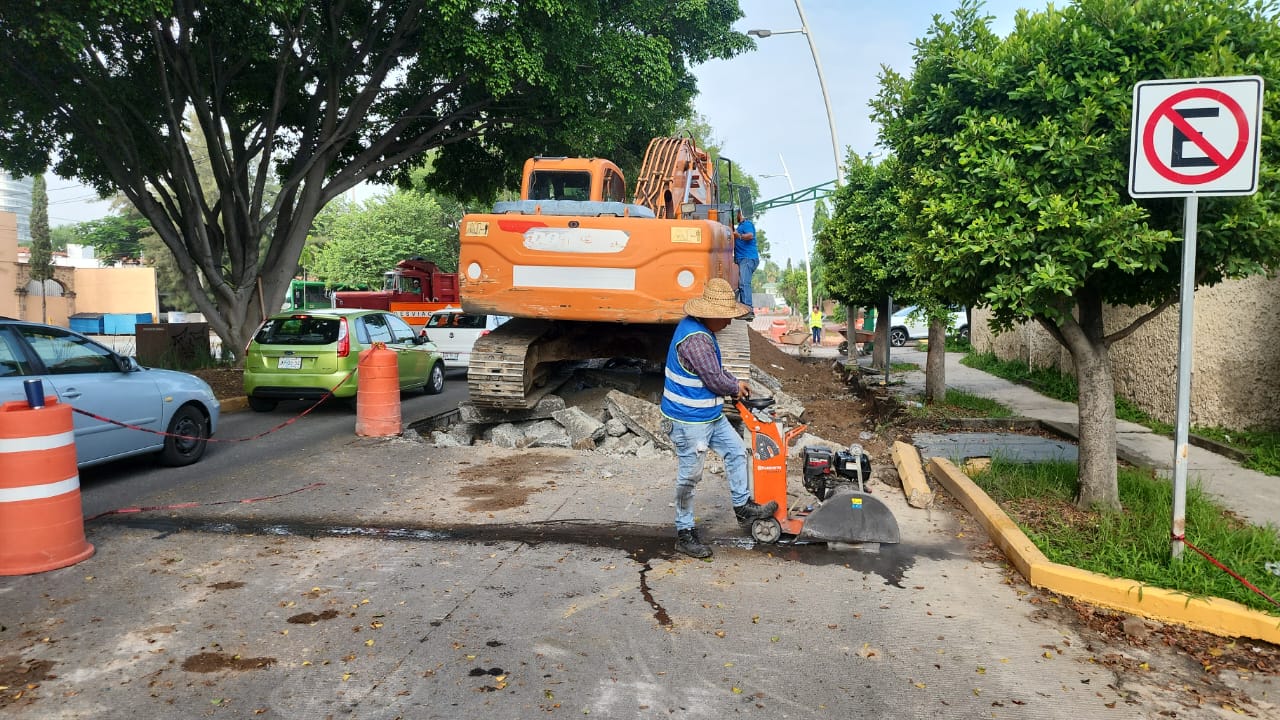 Imagen del proyecto