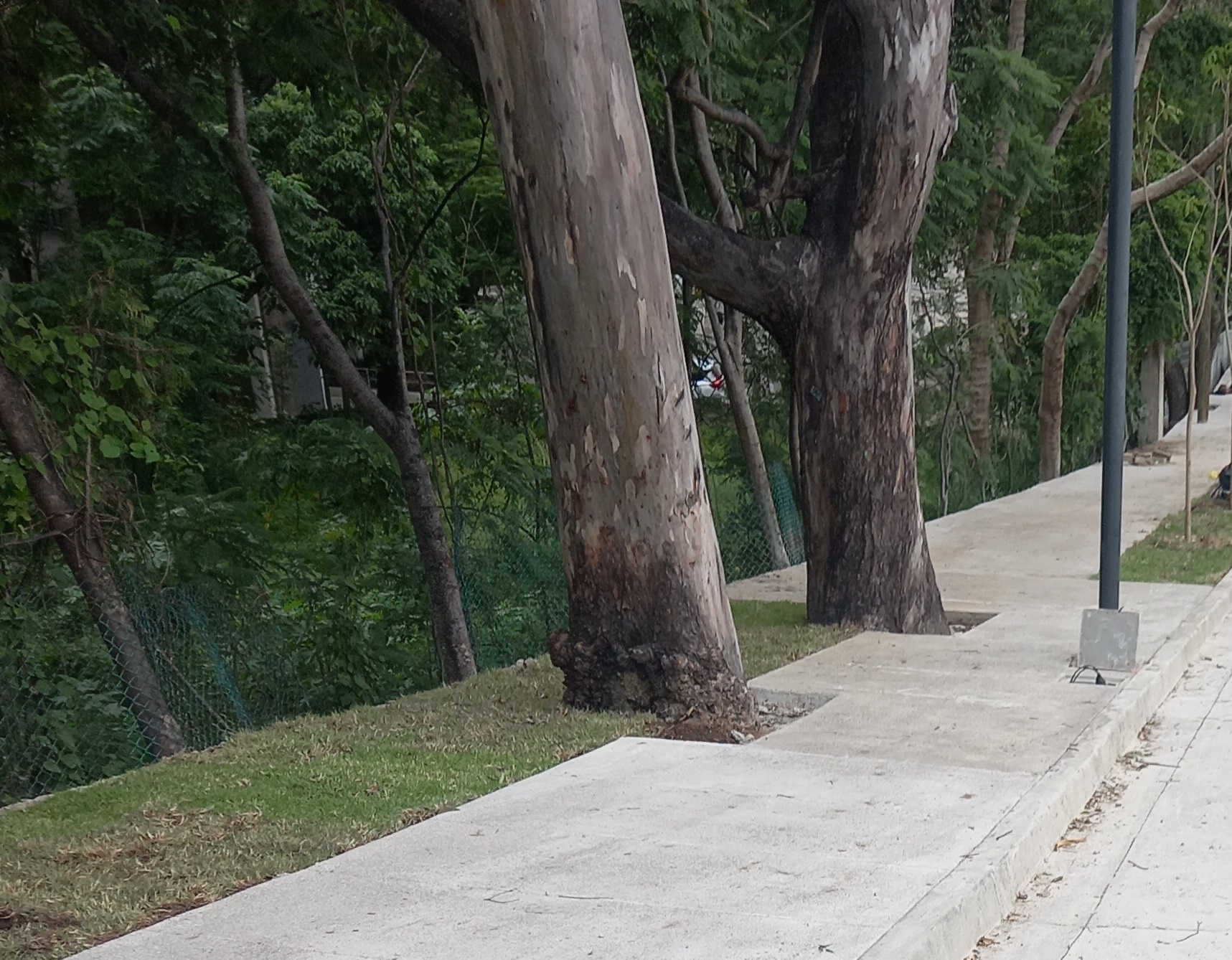 Imagen del proyecto