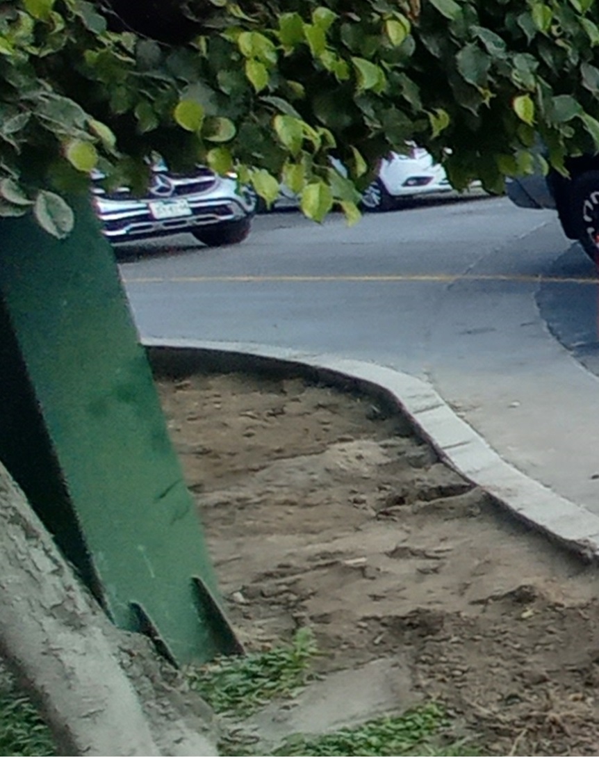 Imagen del proyecto