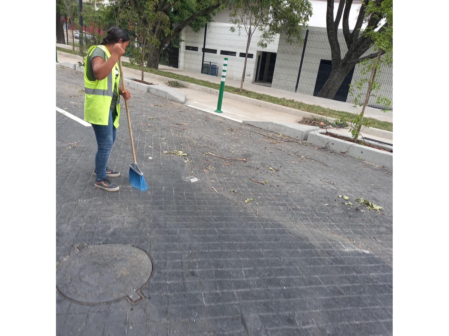 Imagen del proyecto