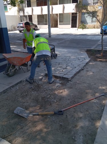 Imagen del proyecto