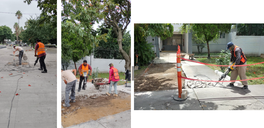Imagen del proyecto