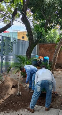 Imagen del proyecto