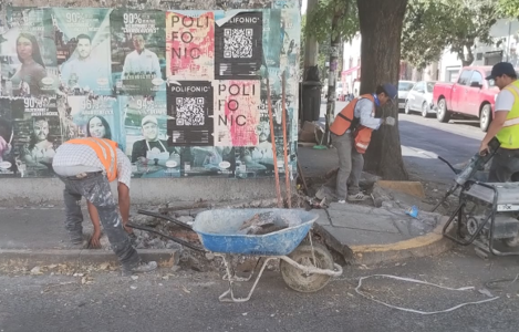 Imagen del proyecto