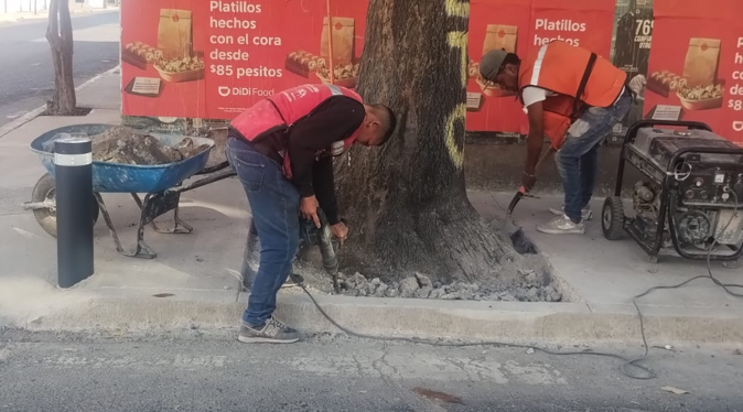 Imagen del proyecto