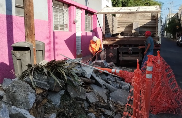 Imagen del proyecto