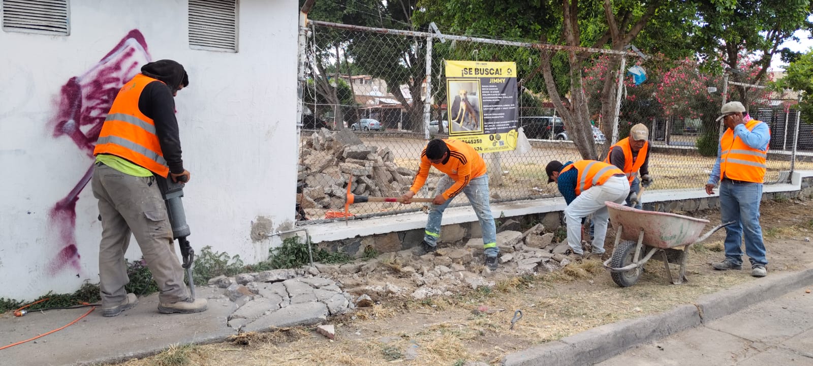 Imagen del proyecto