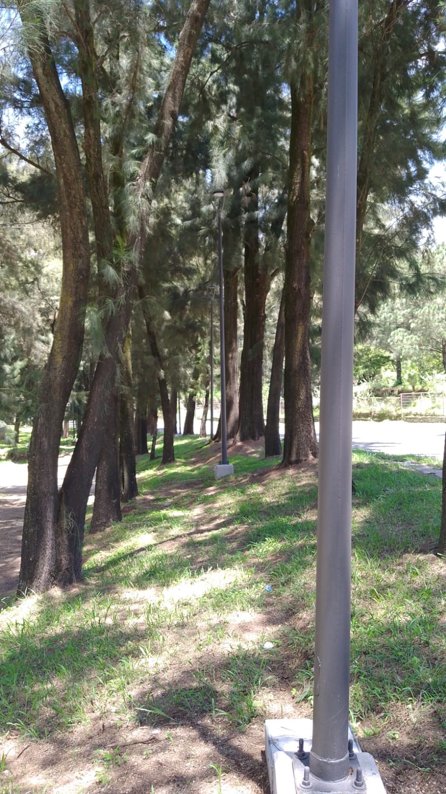 Imagen del proyecto