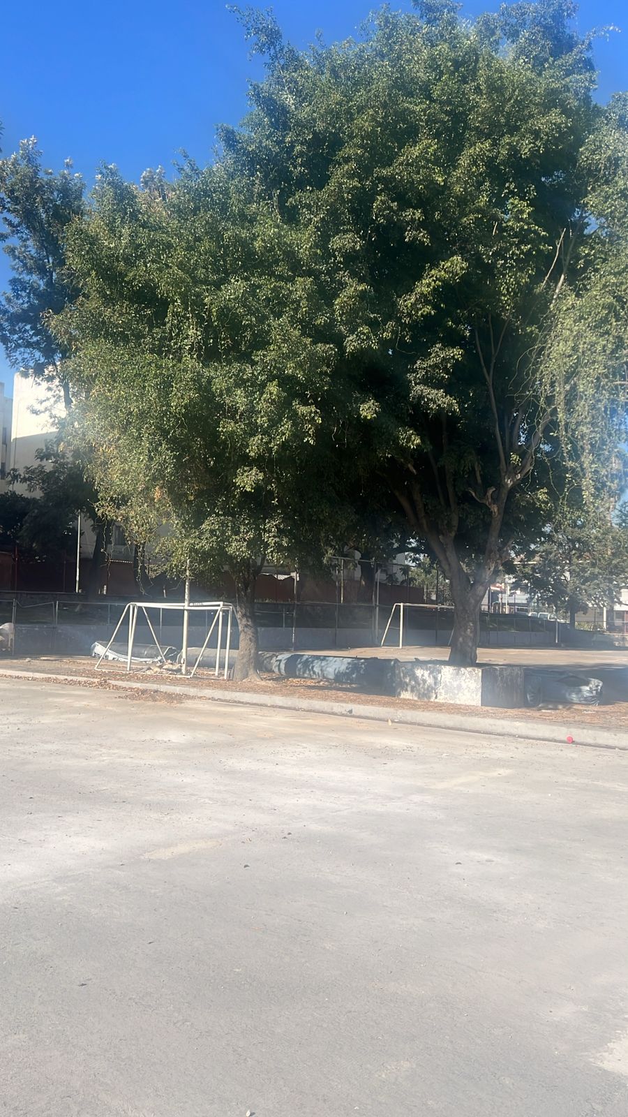 Imagen del proyecto