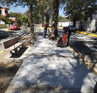 Imagen del Proyecto