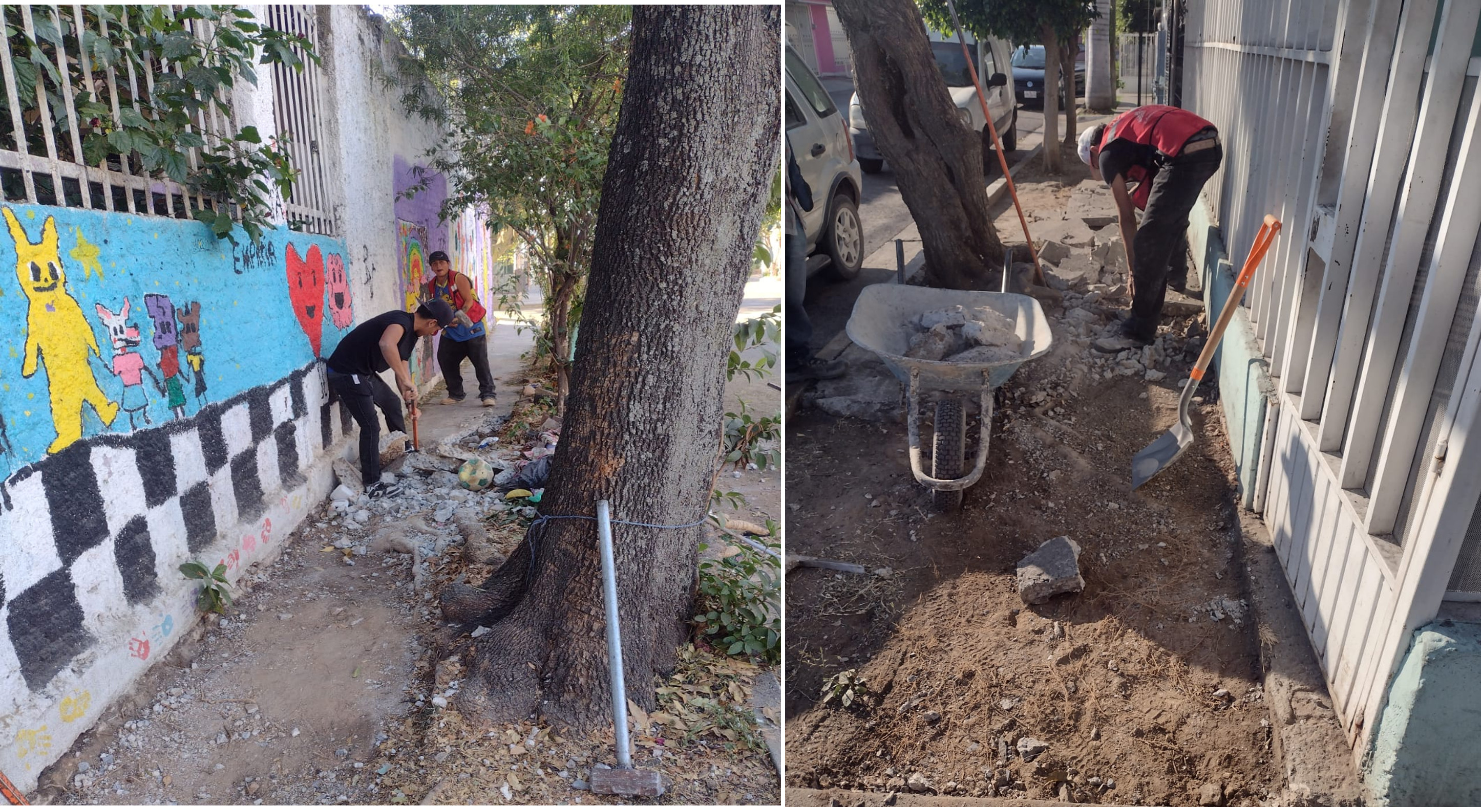 Imagen del proyecto