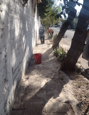 Imagen del proyecto