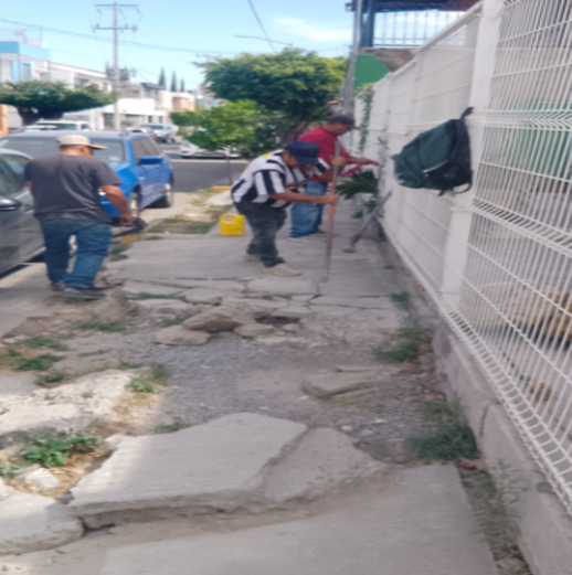 Imagen del proyecto