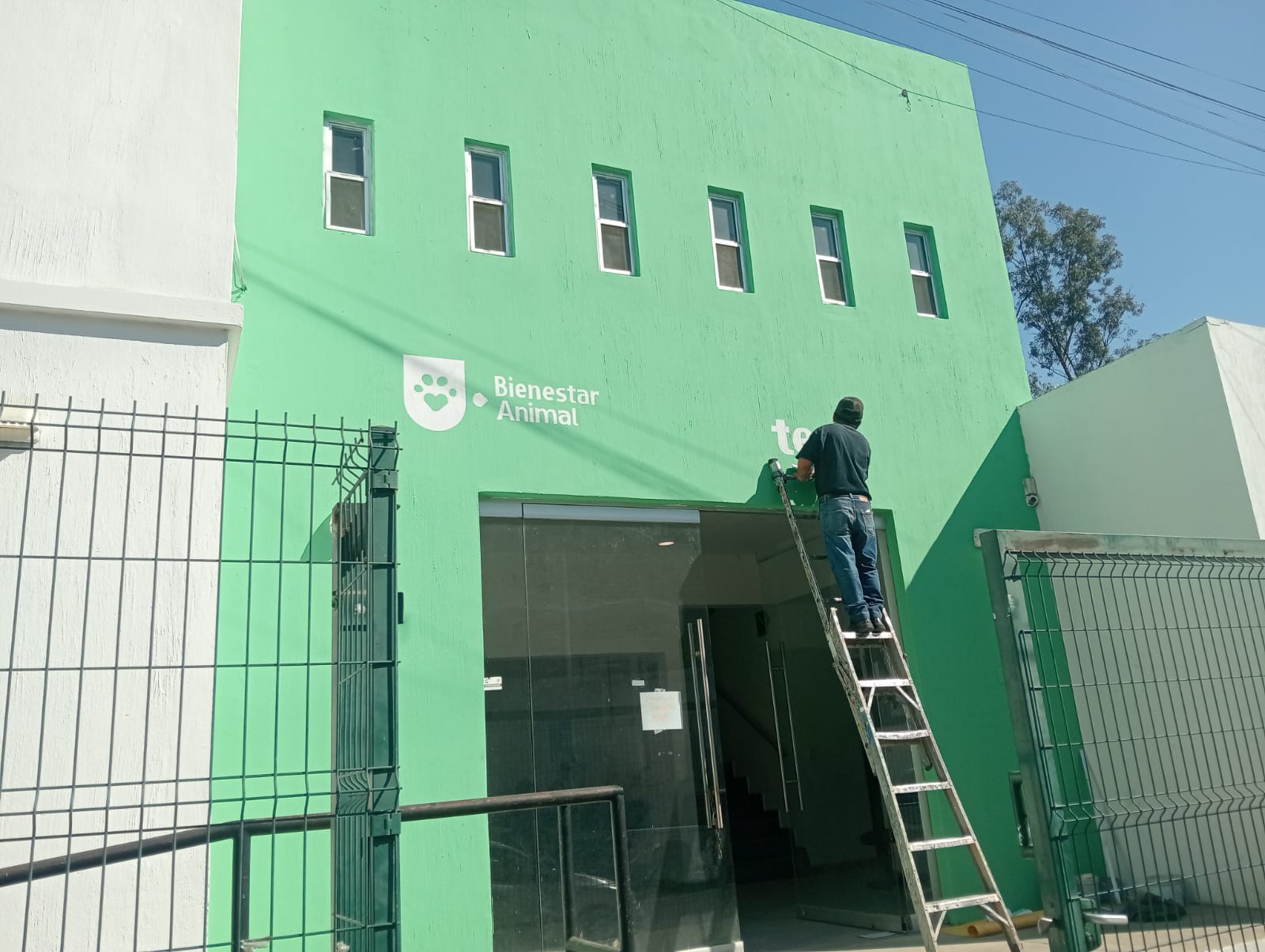 Imagen del proyecto