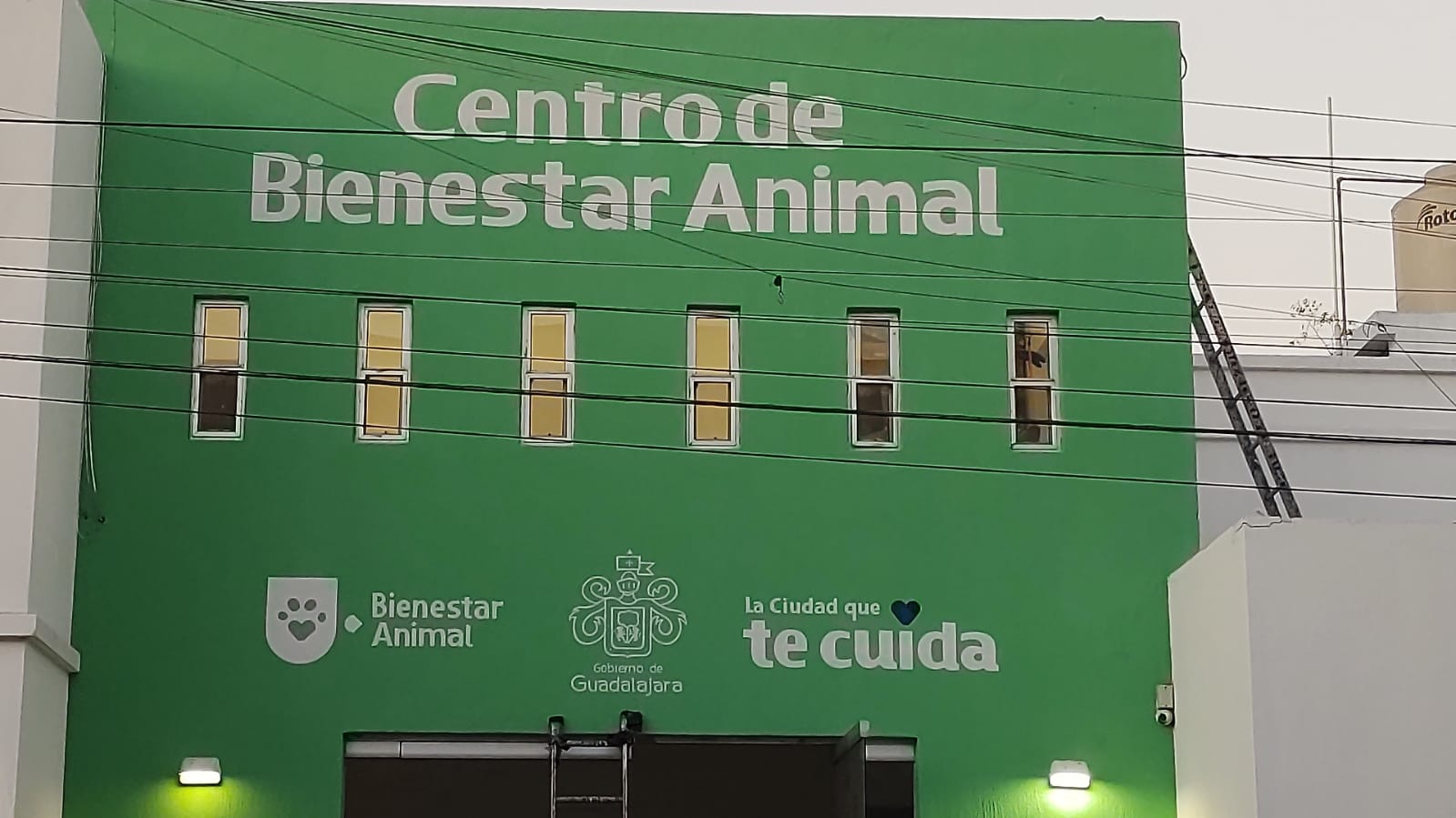 Imagen del proyecto