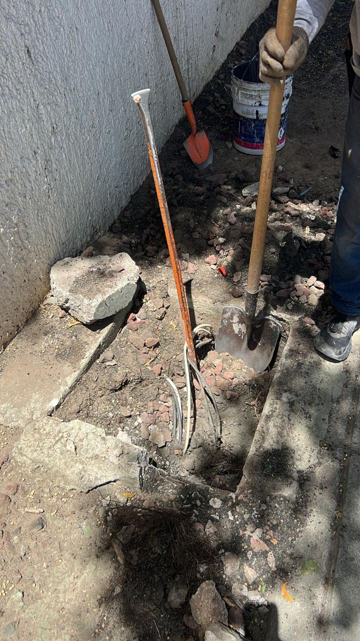 Imagen del proyecto