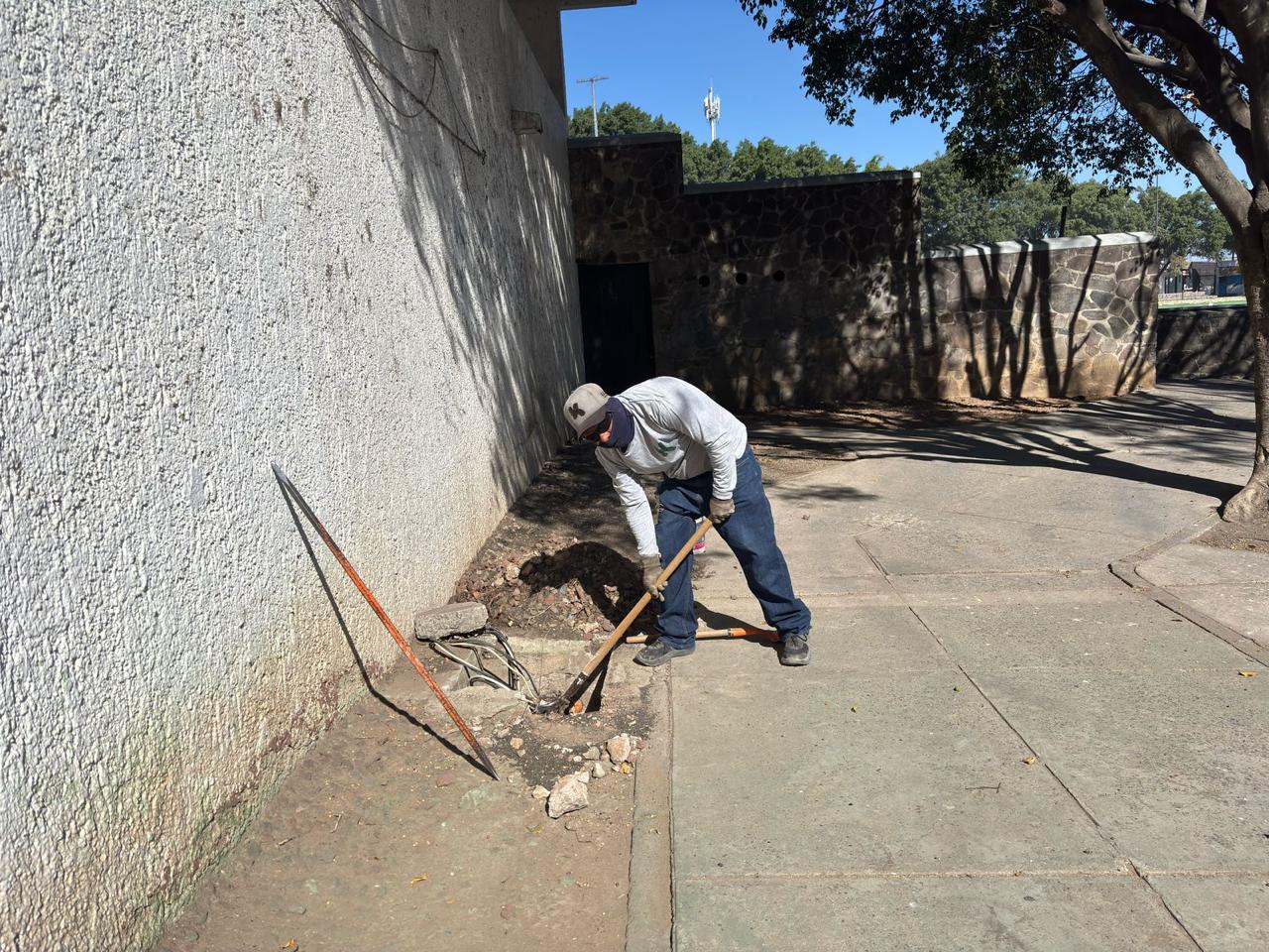 Imagen del proyecto