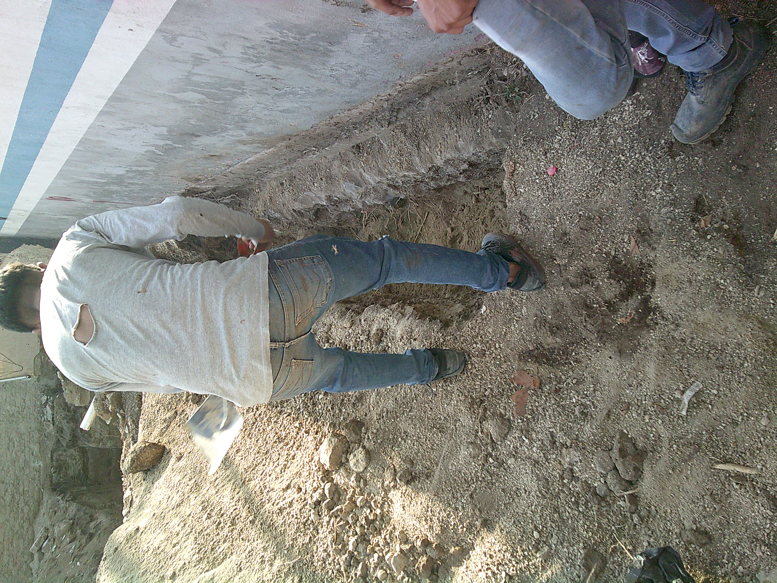 Imagen del proyecto