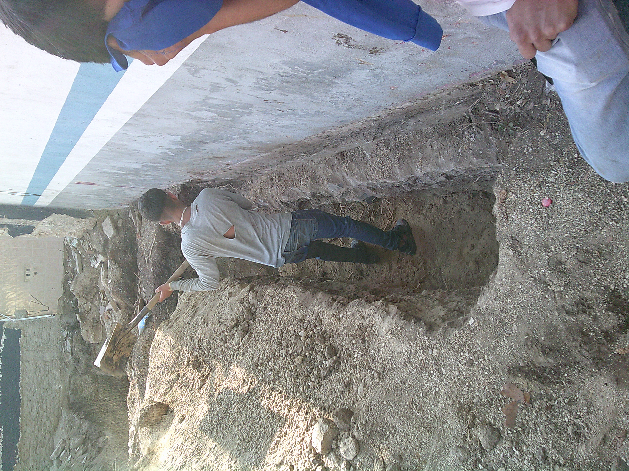 Imagen del proyecto