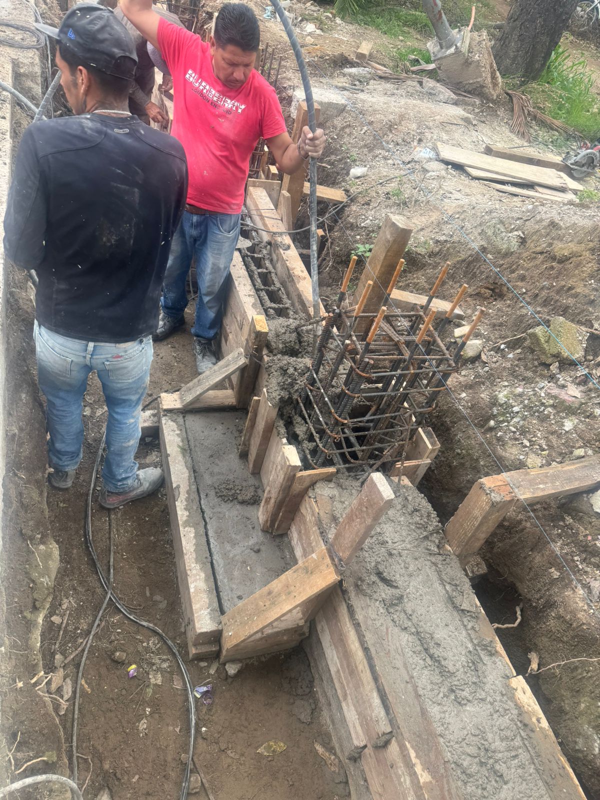 Imagen del proyecto