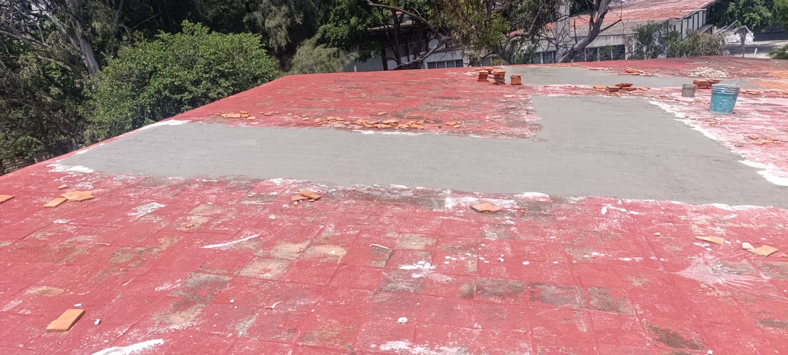 Imagen del proyecto