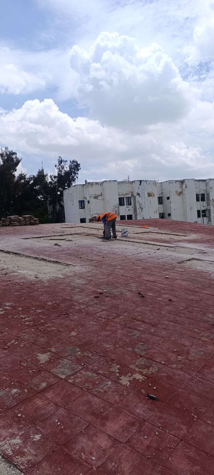 Imagen del Proyecto