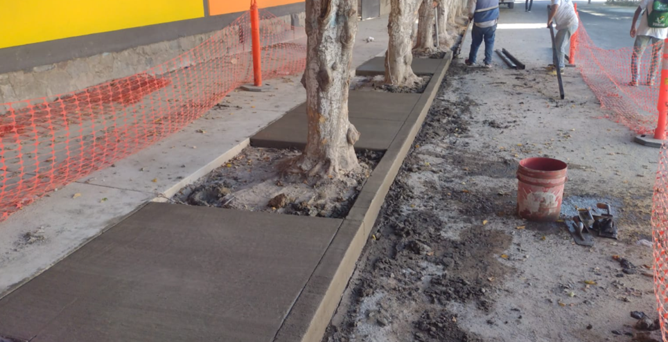 Imagen del proyecto