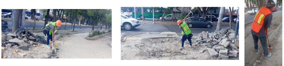 Imagen del proyecto