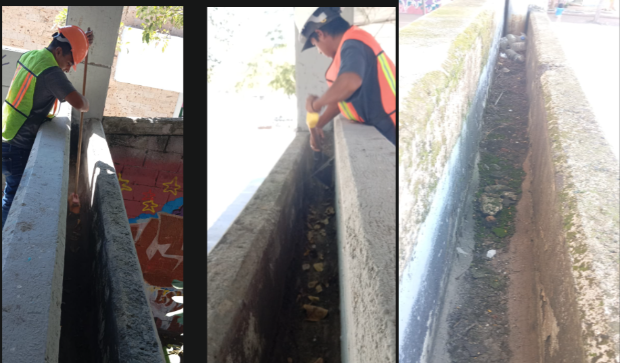 Imagen del proyecto