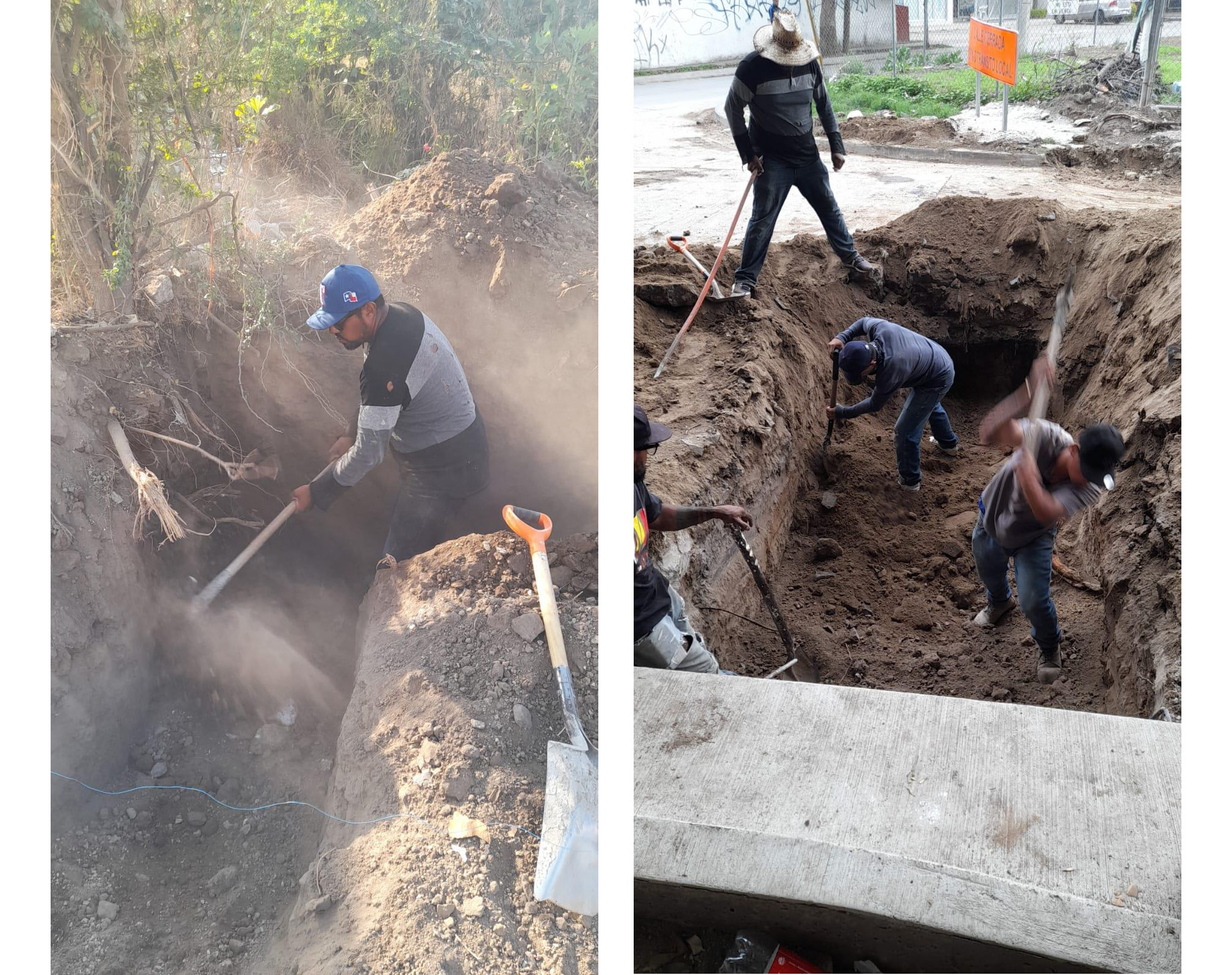 Imagen del proyecto