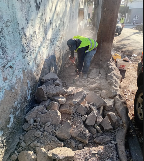Imagen del proyecto