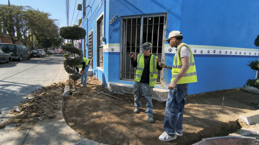 Imagen del proyecto
