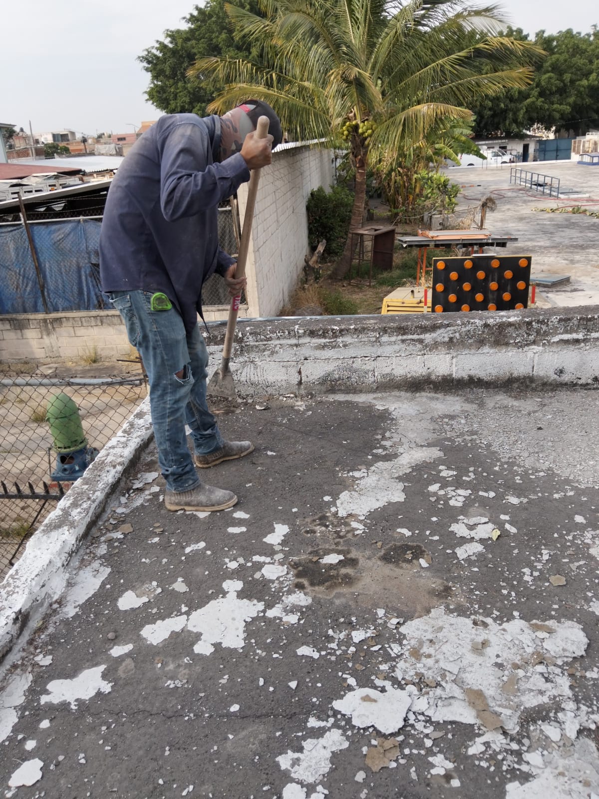 Imagen del proyecto