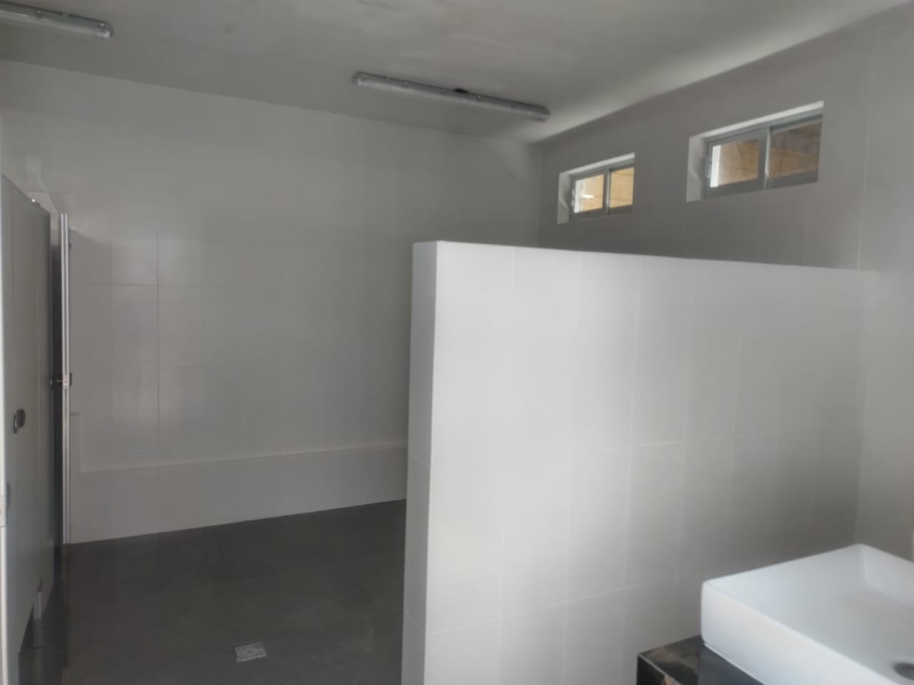 Imagen del proyecto