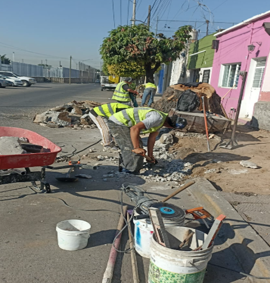 Imagen del proyecto