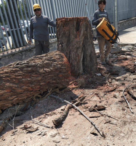 Imagen del proyecto